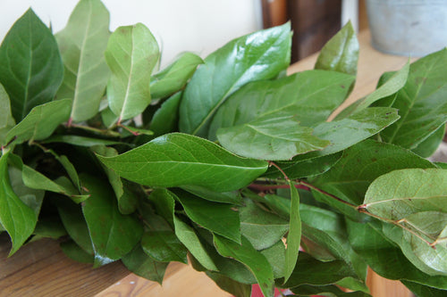 Salal foliage garland