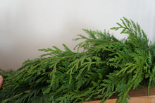 Conifer garland