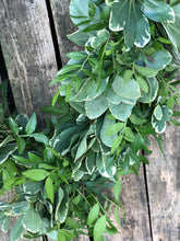 Pittosporum and pistache foliage garland