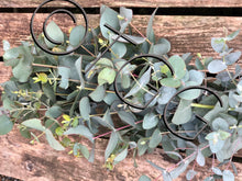 Eucalyptus garland / or mixed eucalyptus