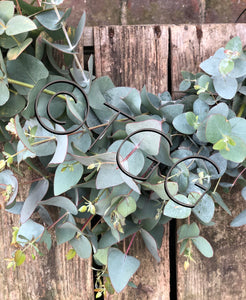 Eucalyptus garland / or mixed eucalyptus
