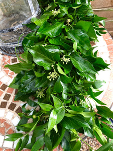 Ivy and soft ruscus garland