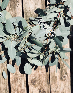 Eucalyptus populus